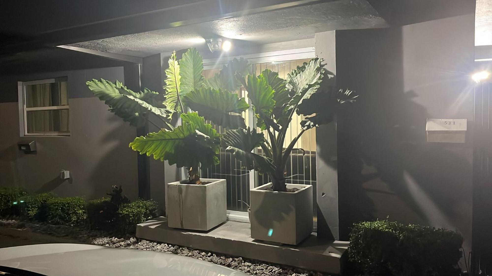 Beautiful, Fully Furnished 4Bed 2Bath House - 5 Minute Walk To Miracle Mile Downtown Coral Gables Miami Exterior foto
